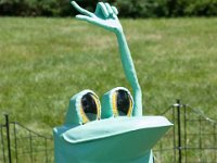 2016 - MortArboretumFrogs 0011 : Morton Arboritum, 2016 - Morton Frogs